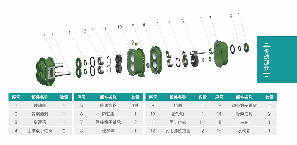 GS/DR系列凸輪轉(zhuǎn)子泵傳動(dòng)部分結(jié)構(gòu)圖